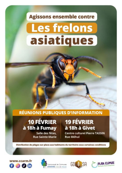 affiche frelon 2026