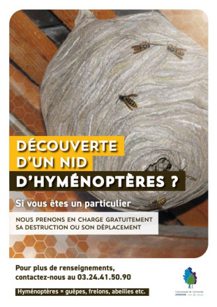 affiche nid2